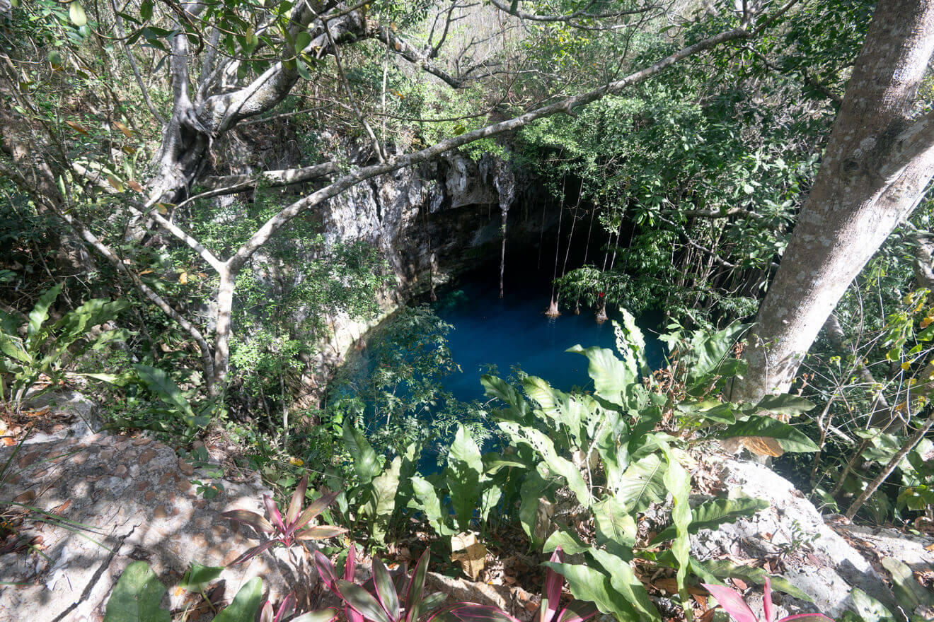 Cenote Chenxunan imagen 24