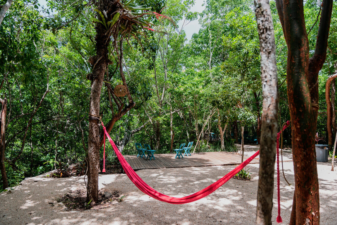 Cenote Chenxunan imagen 31
