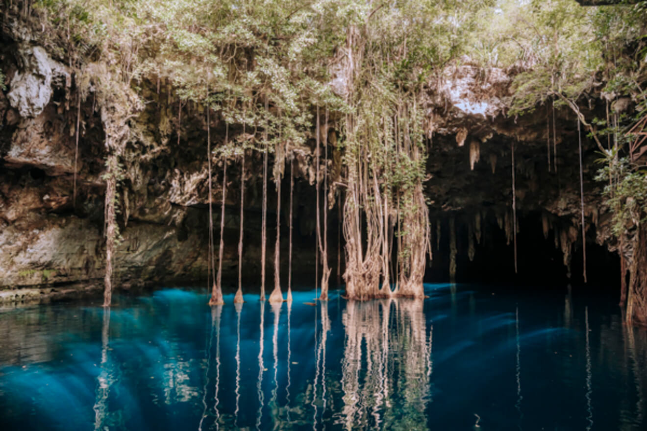 La familia de Doña Nemencia y Cenote Chenxunan o Xantuario imagen 7