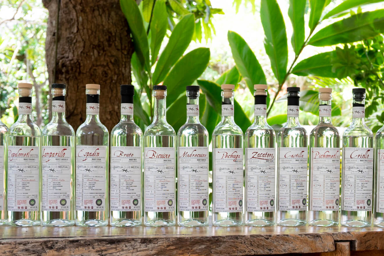 Degustación de Mezcal con Rubén Ayora imagen 7